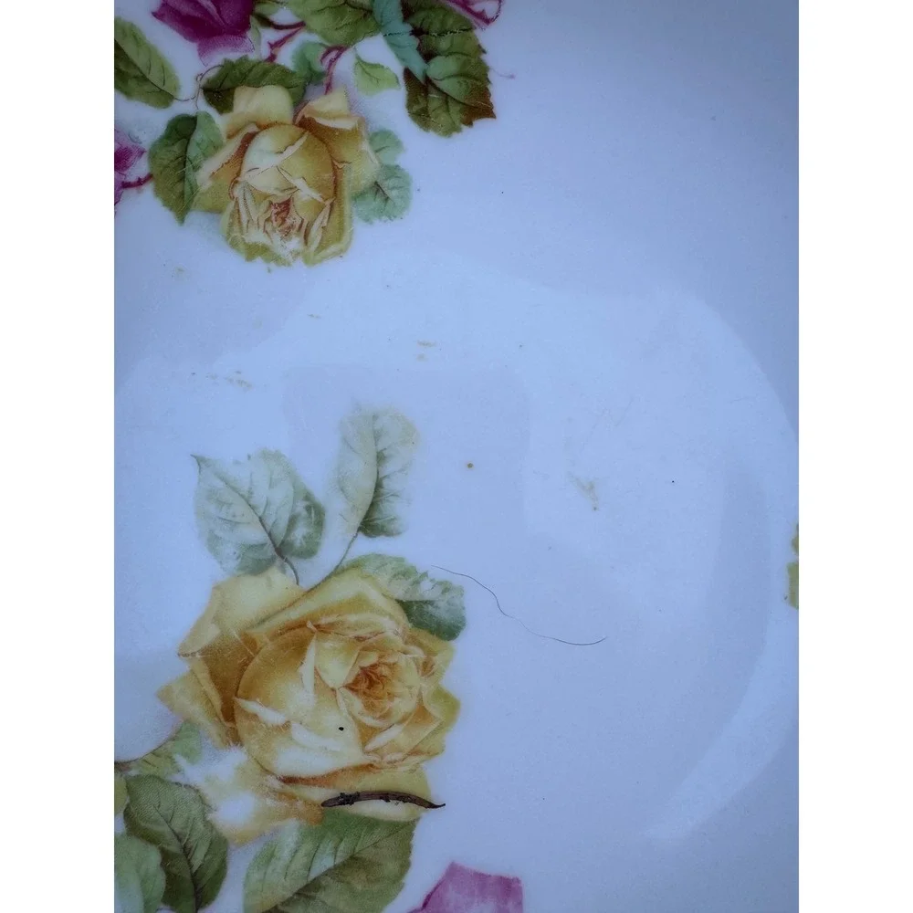 Antique PT Bavaria Tirschenreuth Porcelain Rose Bowl Scalloped Beaded 9.75in